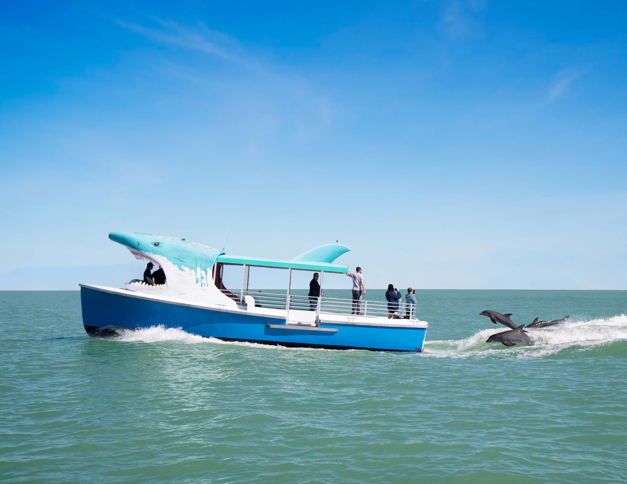 Shark Encounter